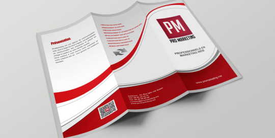 flyer-pm2